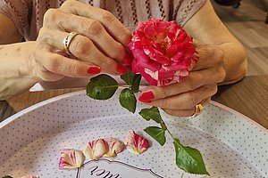 Hände mit rotem Nagellack und Ringen entfernen Blütenblätter von einer roten Rose über einem weißen Teller mit schwarzer Schrift